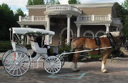 White Carriage Seats 2