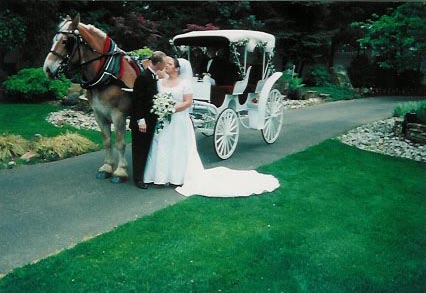 White Carriage Photo Op