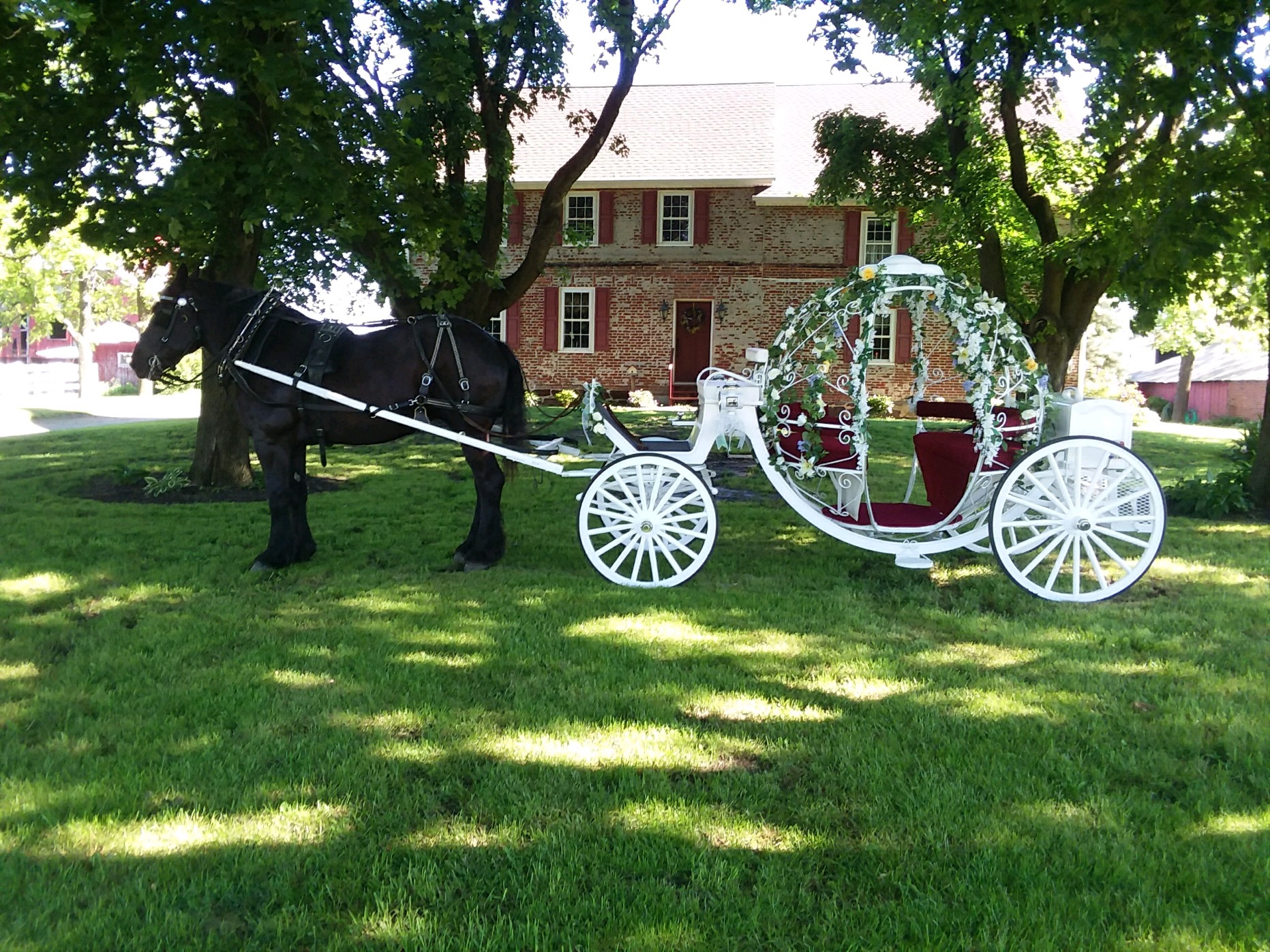 Cinderella Carriage